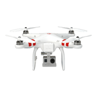 Preview: dji Phantom 1