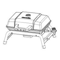 Preview: Char-Broil 17402049