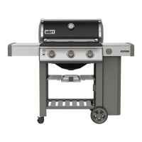 Preview: Weber GENESIS II E-210