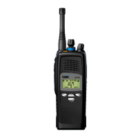Preview: Tait TP9100