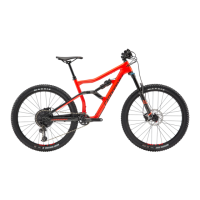Preview: Cannondale TRIGGER