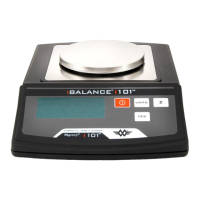 Preview: My Weigh i101