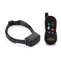 Preview: Petsafe VT-100