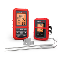 Preview: ThermoPro TP-20