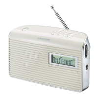 Preview: Grundig Music 61