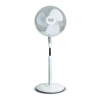Fan Logo