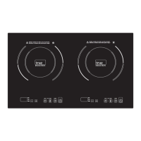 Preview: True Induction TI-2B