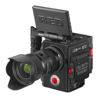 Preview: RED scarlet