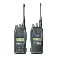 Preview: Tait TP8100