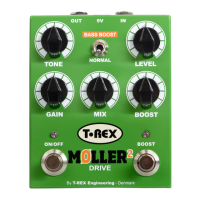 Preview: T-Rex Moller 2