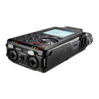 Preview: Tascam DR-100MKIII
