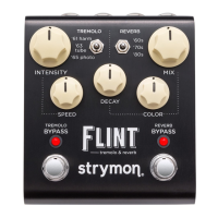 Preview: Strymon Flint