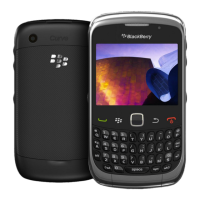 Preview: Blackberry CURVE 3G