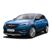 Preview: Opel Grandland X