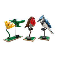 Preview: LEGO 21301
