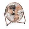 Fan Logo