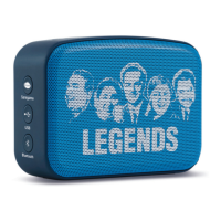 Preview: Saregama CARVAAN mini