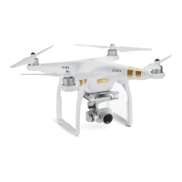 Preview: dji Phantom 3 SE