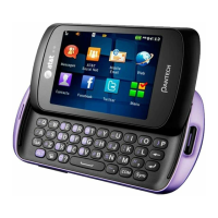 Preview: Pantech P6020