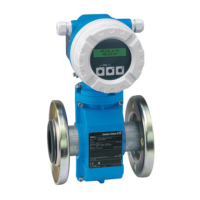 Preview: Endress+Hauser Promag 10