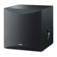 Preview: Yamaha KS-SW100