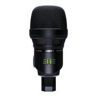 Preview: Lewitt DTP 640 REX