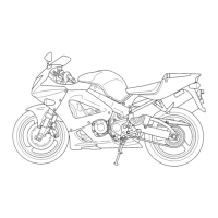 Preview: Honda Fireblade 929