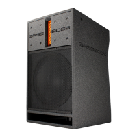 Preview: BassBoss DV12