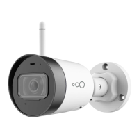 Preview: OCO Pro Bullet