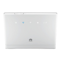 Preview: Huawei B315s