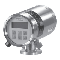 Preview: Siemens Sitrans F Series