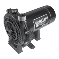 Preview: Waterway BOOSTER PUMP