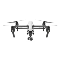 Preview: dji Inspire 1 V2.0