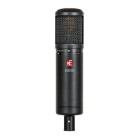 Preview: SE Electronics sE2200