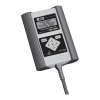 Preview: Auto Meter RC-300