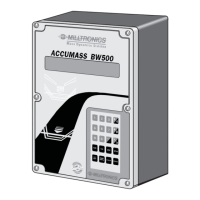 Preview: Milltronics ACCUMASS BW500