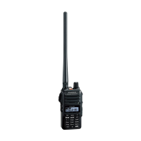 Preview: Yaesu FTA-250L