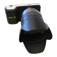 Preview: Black Magic Design Pocket Cinema Camera