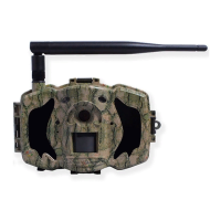 Preview: Boly MG983G-30M