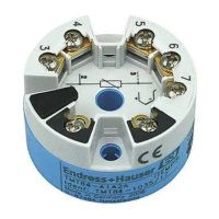 Preview: Endress+Hauser iTEMP TMT84