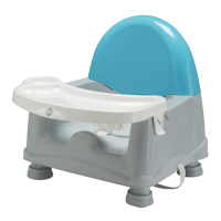 Preview: Easy Care Swing Tray Booster