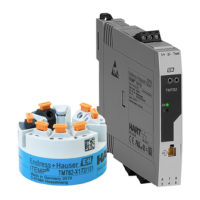 Preview: Endress+Hauser iTEMP TMT82
