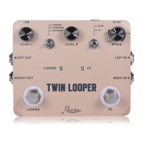 Preview: Rowin TWIN LOOPER