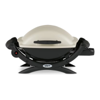 Preview: Weber Q Series