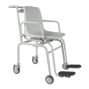 Wheelchair Logo