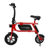 Preview: SWAGTRON SwagCycle Envy