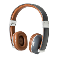 Preview: Polk Audio AM4220-A