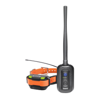 Preview: Dogtra Pathfinder