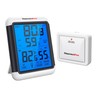 Preview: ThermoPro TP-65