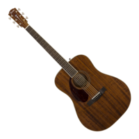 Preview: Fender Paramount Series